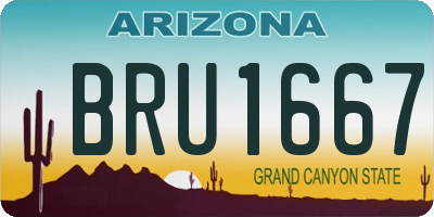 AZ license plate BRU1667