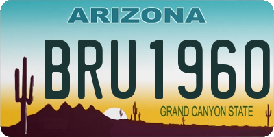 AZ license plate BRU1960
