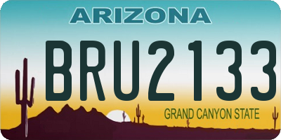AZ license plate BRU2133