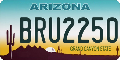 AZ license plate BRU2250