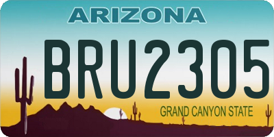 AZ license plate BRU2305