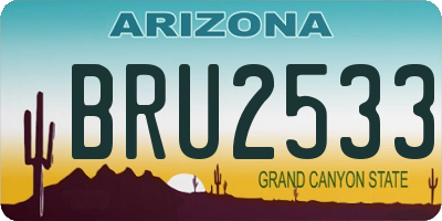 AZ license plate BRU2533
