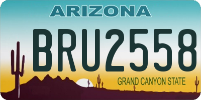 AZ license plate BRU2558