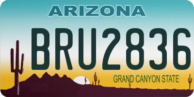 AZ license plate BRU2836