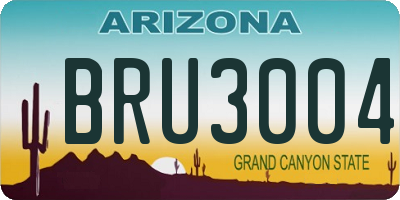 AZ license plate BRU3004