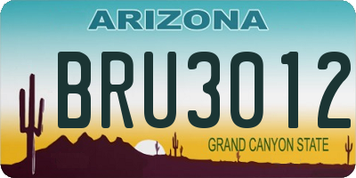 AZ license plate BRU3012