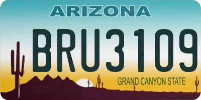 AZ license plate BRU3109