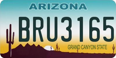 AZ license plate BRU3165
