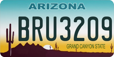 AZ license plate BRU3209