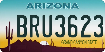 AZ license plate BRU3623