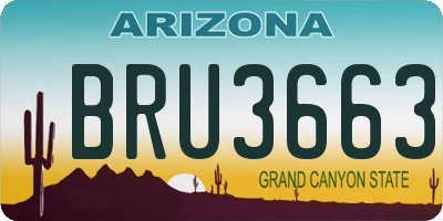 AZ license plate BRU3663