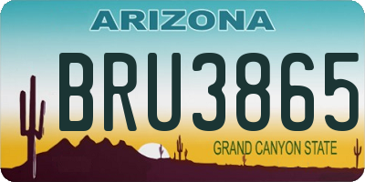 AZ license plate BRU3865