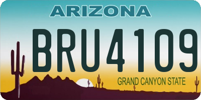 AZ license plate BRU4109