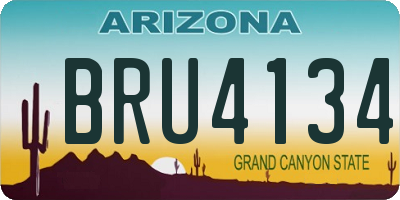 AZ license plate BRU4134