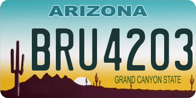 AZ license plate BRU4203