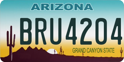 AZ license plate BRU4204