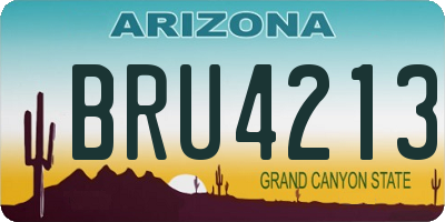 AZ license plate BRU4213