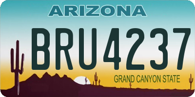 AZ license plate BRU4237