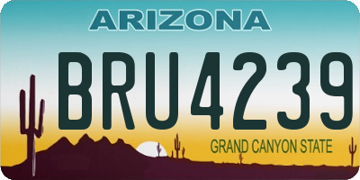 AZ license plate BRU4239