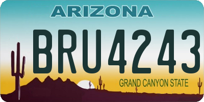 AZ license plate BRU4243