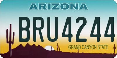 AZ license plate BRU4244