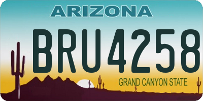 AZ license plate BRU4258