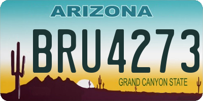 AZ license plate BRU4273