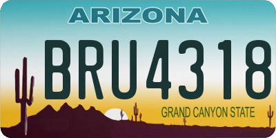 AZ license plate BRU4318
