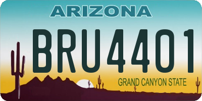 AZ license plate BRU4401