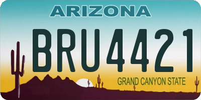 AZ license plate BRU4421