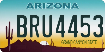 AZ license plate BRU4453