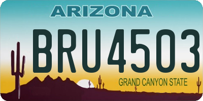 AZ license plate BRU4503