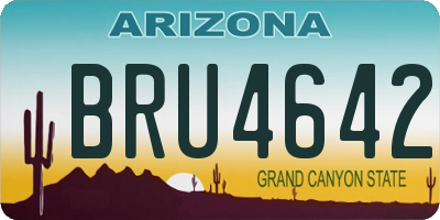 AZ license plate BRU4642