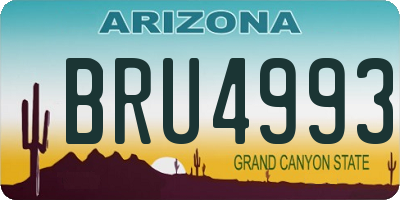 AZ license plate BRU4993