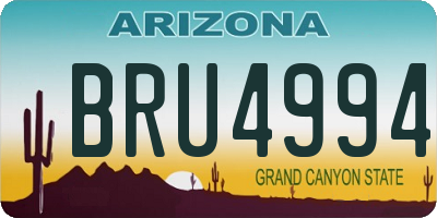AZ license plate BRU4994