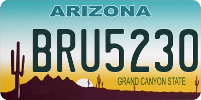 AZ license plate BRU5230