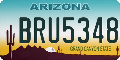 AZ license plate BRU5348