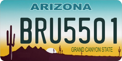AZ license plate BRU5501