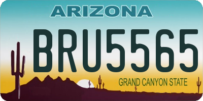AZ license plate BRU5565