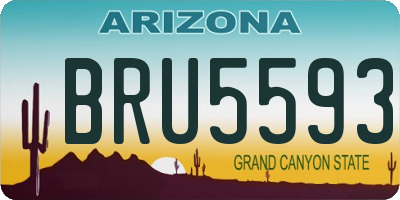 AZ license plate BRU5593