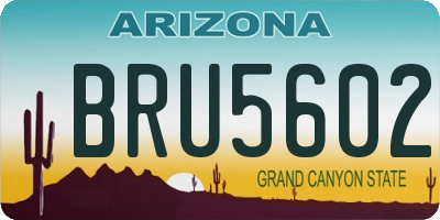 AZ license plate BRU5602