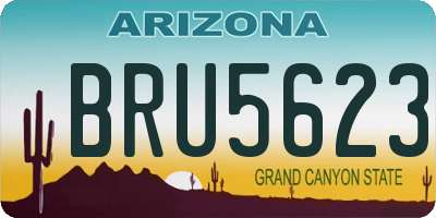AZ license plate BRU5623