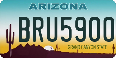 AZ license plate BRU5900