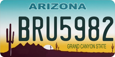 AZ license plate BRU5982