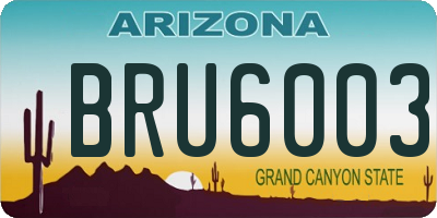 AZ license plate BRU6003
