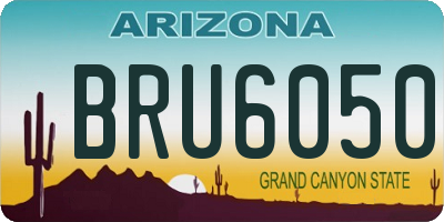 AZ license plate BRU6050