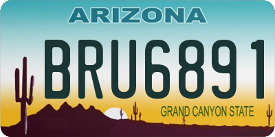 AZ license plate BRU6891