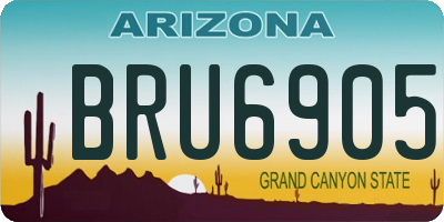 AZ license plate BRU6905