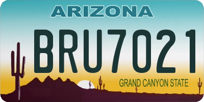 AZ license plate BRU7021
