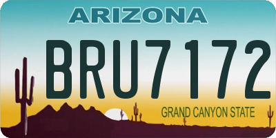 AZ license plate BRU7172
